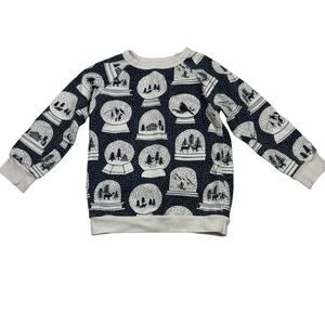 Winter Water Factory Organic Snow Globe Sweatshirt